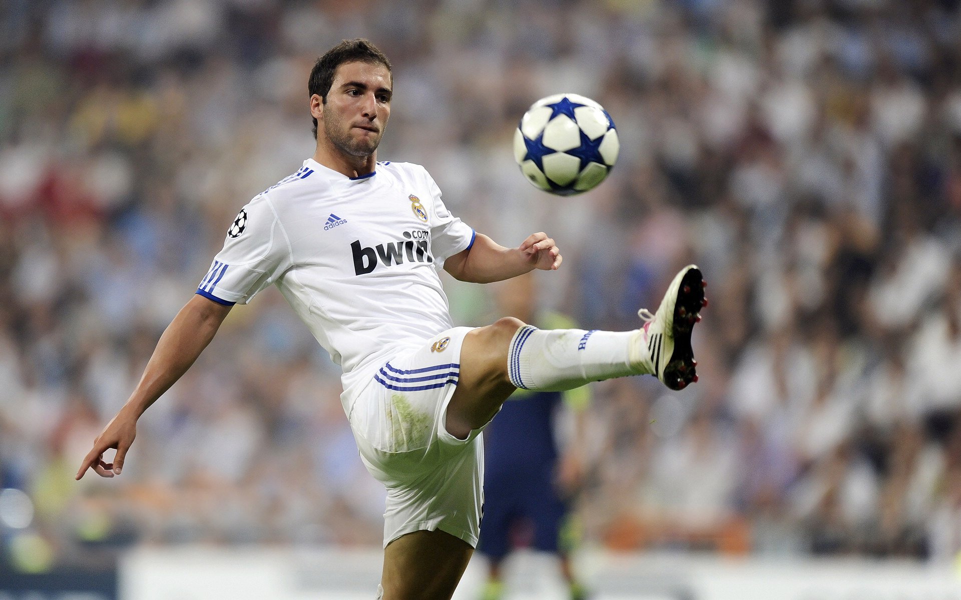 多功能足球场设计新理念,融合城市景观和休闲体验,多功能球场造价